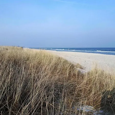 Block, * Kronsgaard